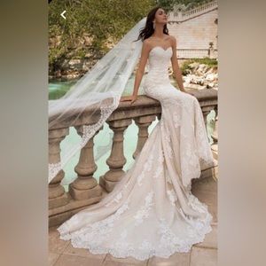Princia by Pronovias wedding gown — size 12